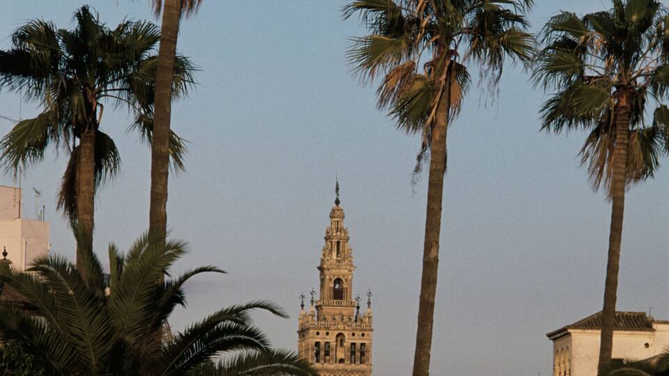 A historic tower surrounded by palm trees and parked cars.