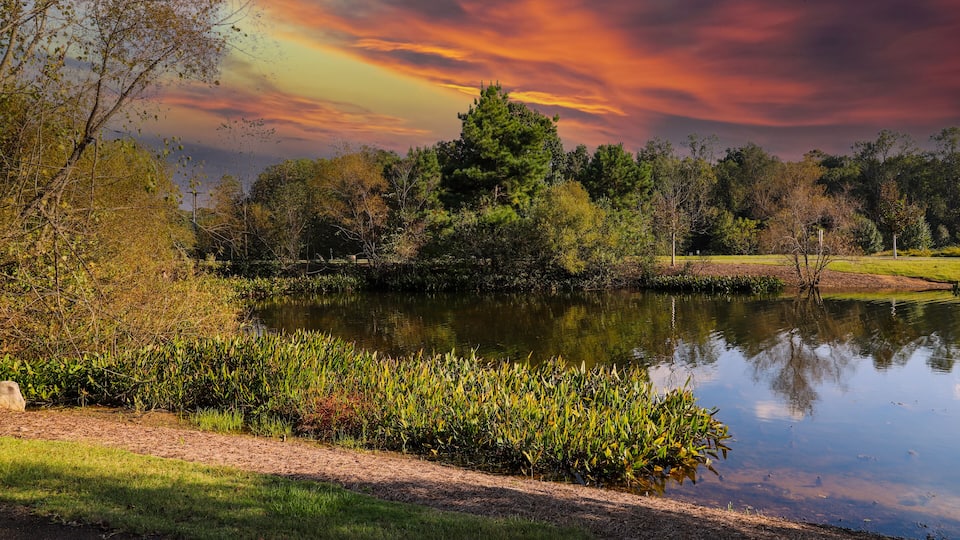 A serene lake with a rainbow, surrounded by trees and a grassy area.