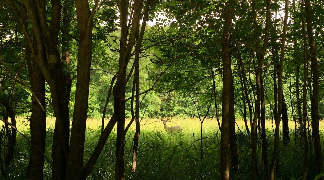 Great place to bike or run!