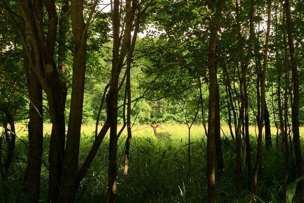 Great place to bike or run!