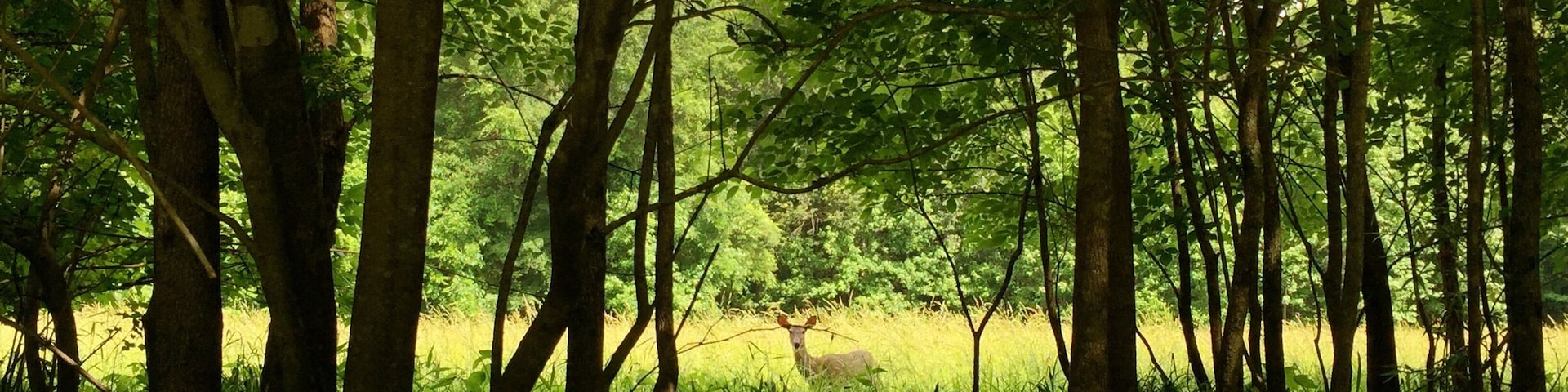 Great place to bike or run!