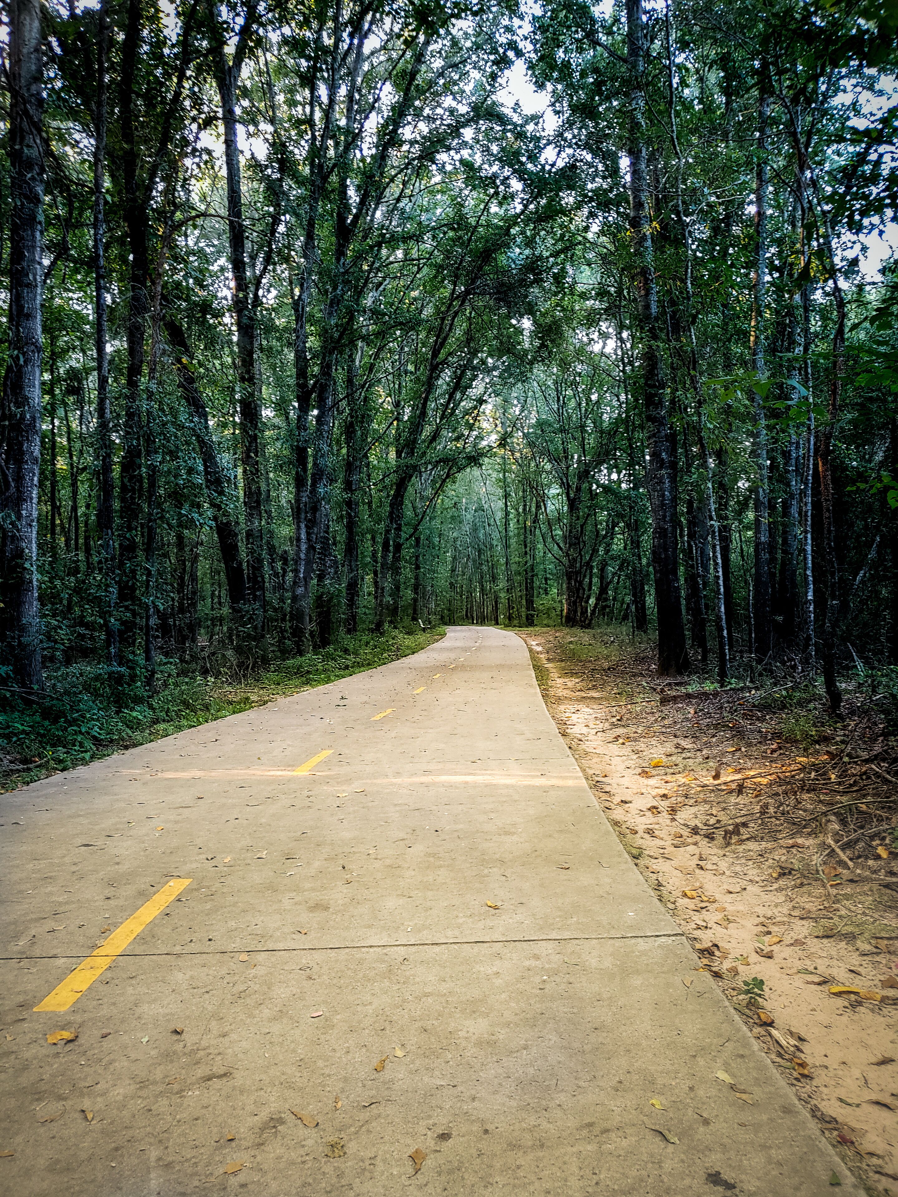 Nice and long paved trail