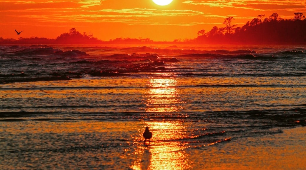 One of the beautiful sunset I have witness and clicked 😎
#bruisedpassports #thispicforuguys