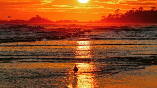 One of the beautiful sunset I have witness and clicked 😎
#bruisedpassports #thispicforuguys