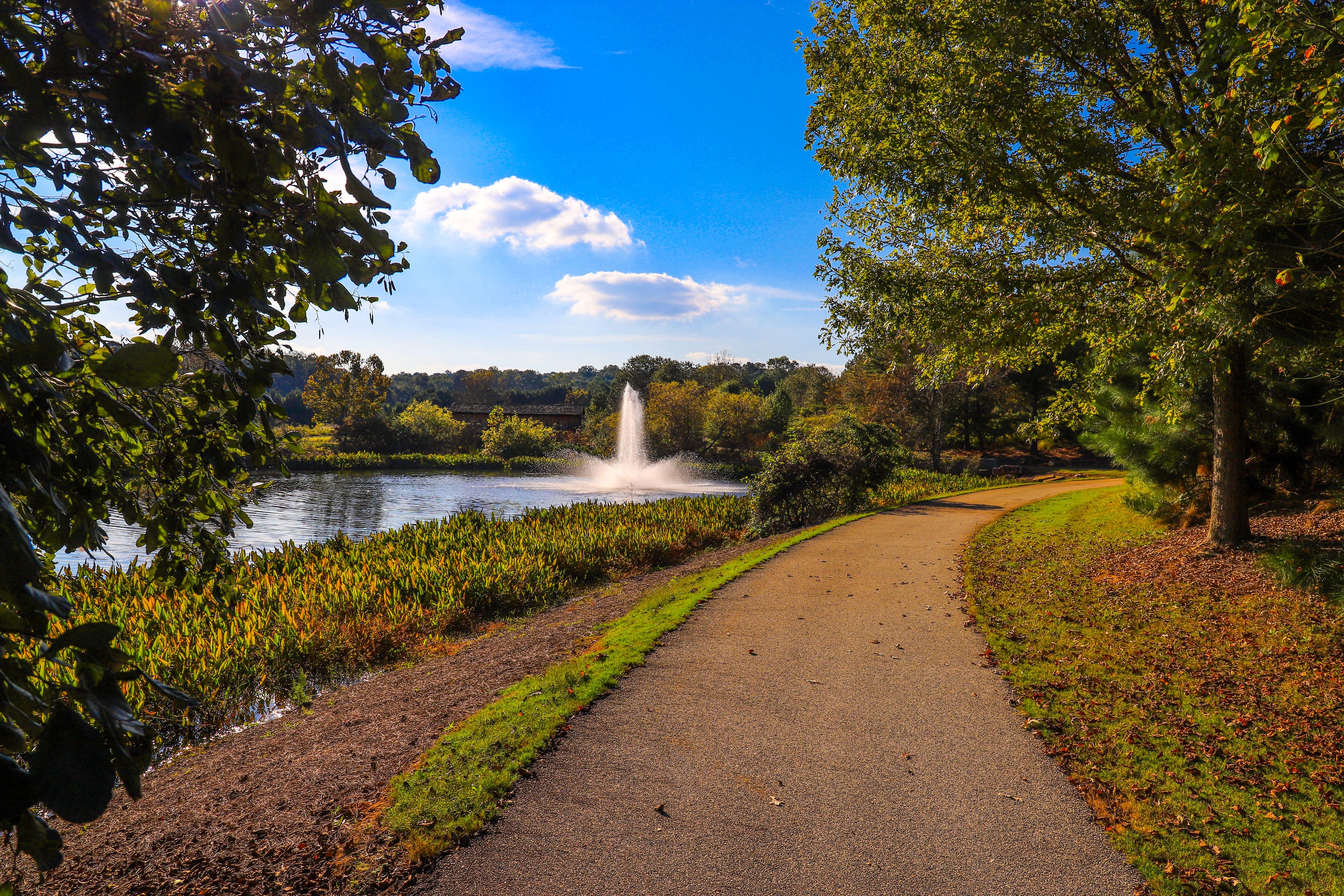 Alpharetta
