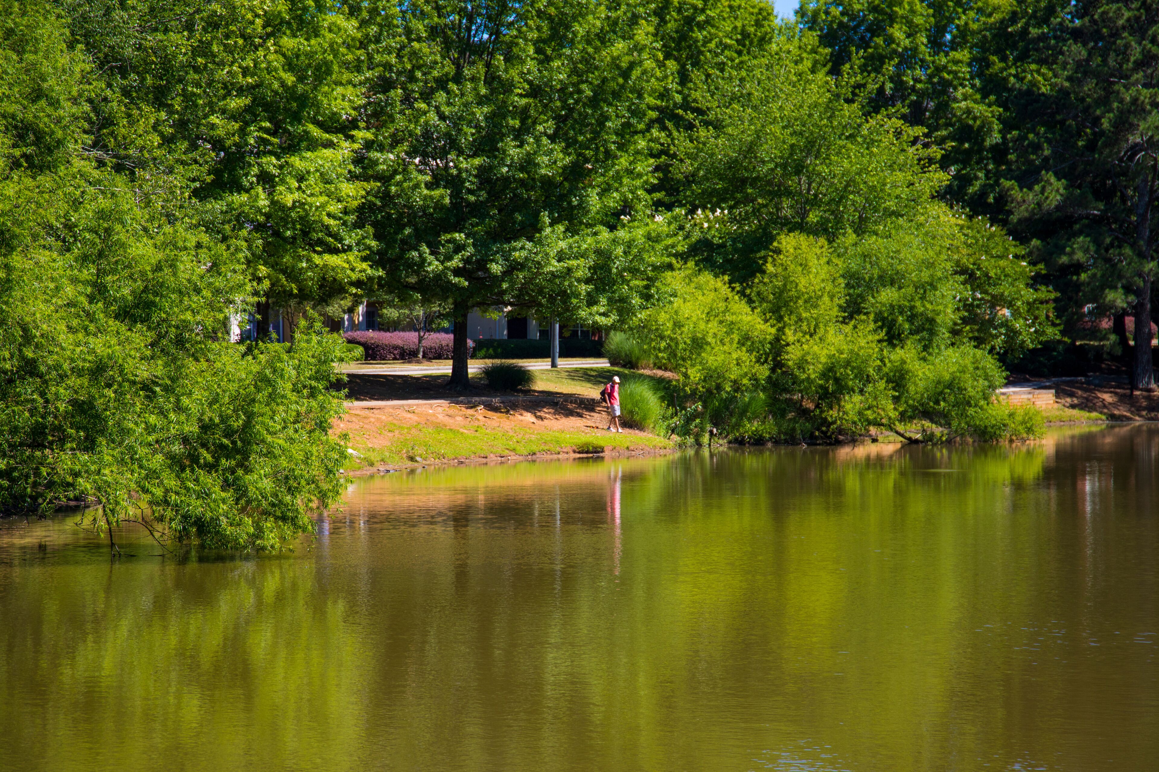Alpharetta