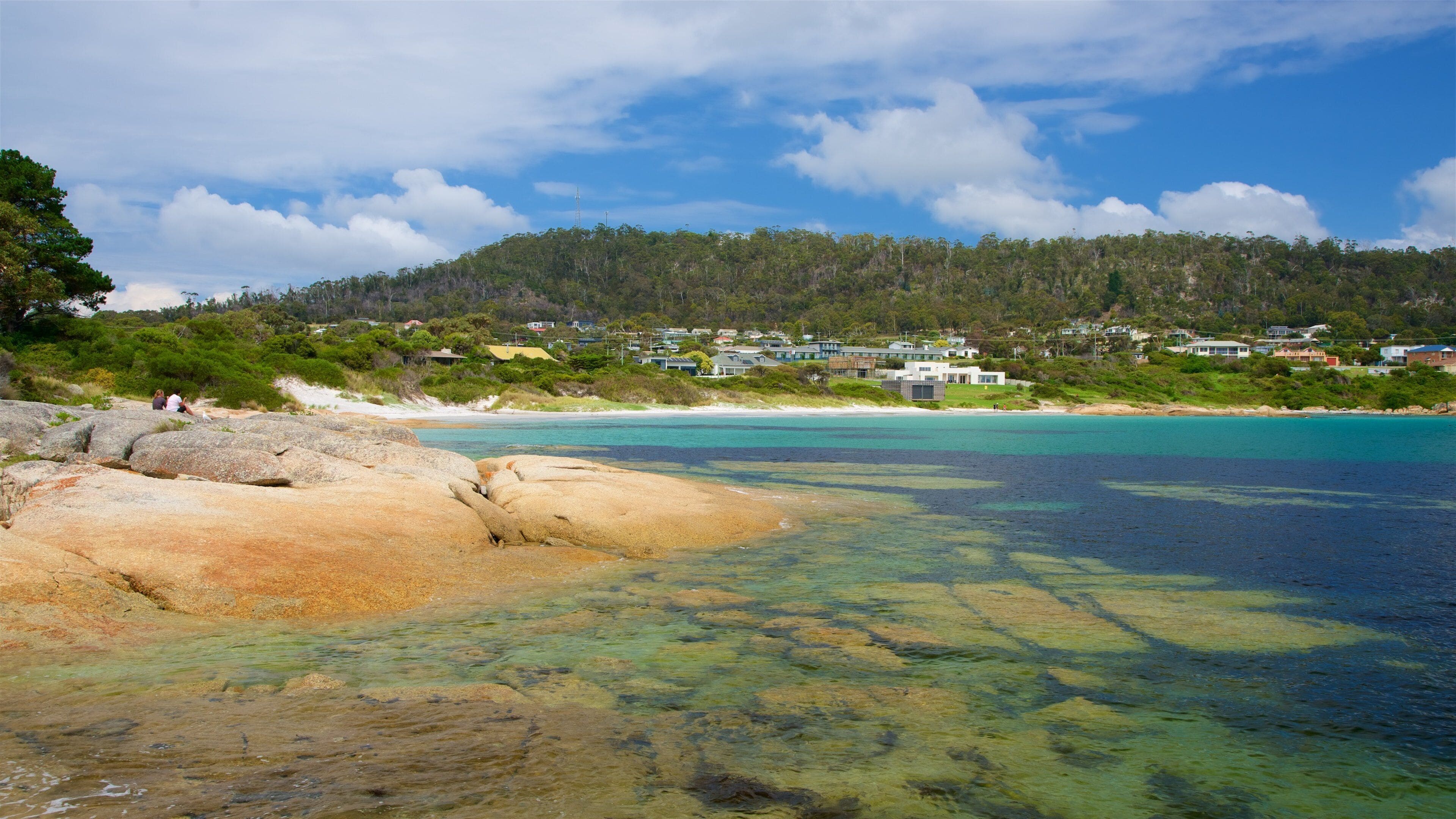 Un paysage côtier caractérisé par une eau turquoise et limpide, un rivage rocheux et, en arrière-plan, des immeubles résidentiels et une forêt dense.
