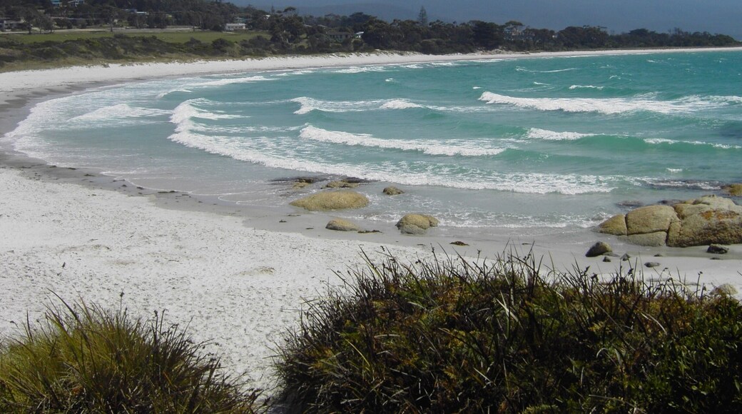 Taken in 2004 in Tasmania.
This is Bicheno Beach. 'The jewel of the Esast Coast'