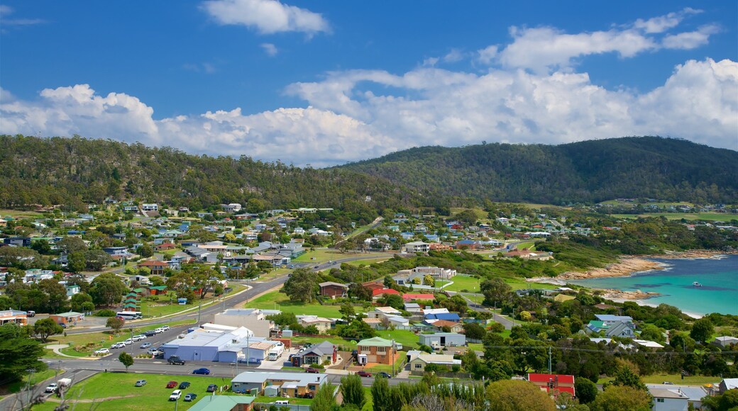 Bicheno mettant en vedette panoramas, vues littorales et ville cĂŽtiĂšre