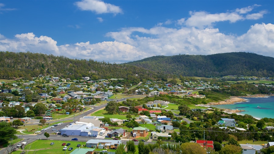 Bicheno mostrando una ciudad costera, vista panorámica y vista general a la costa