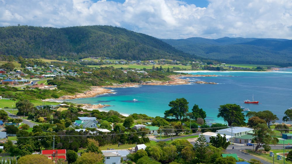 Tasmania featuring tranquil scenes, general coastal views and a coastal town