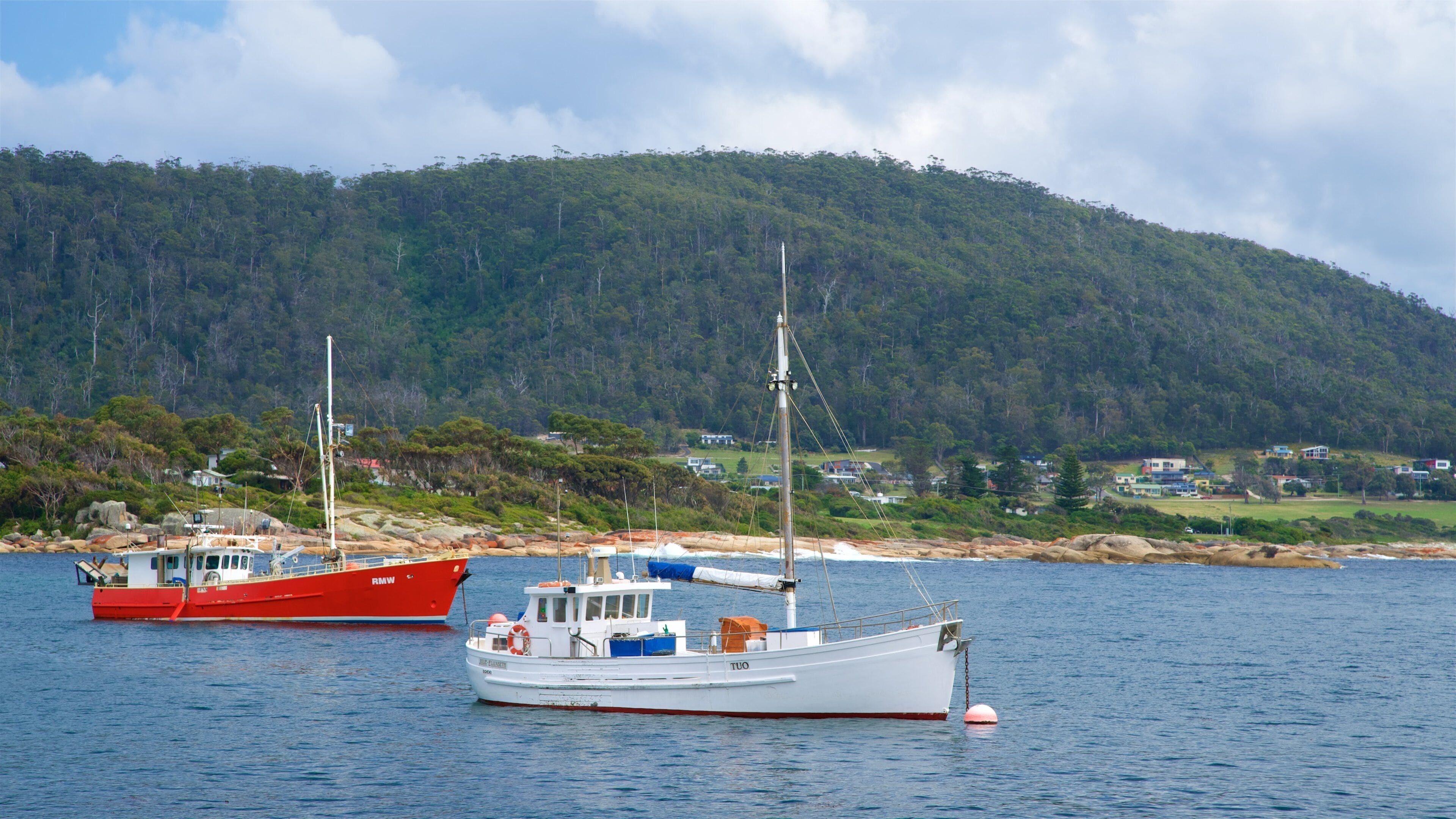 Dos barcos en aguas tranquilas, uno rojo y otro blanco, con una colina boscosa al fondo.