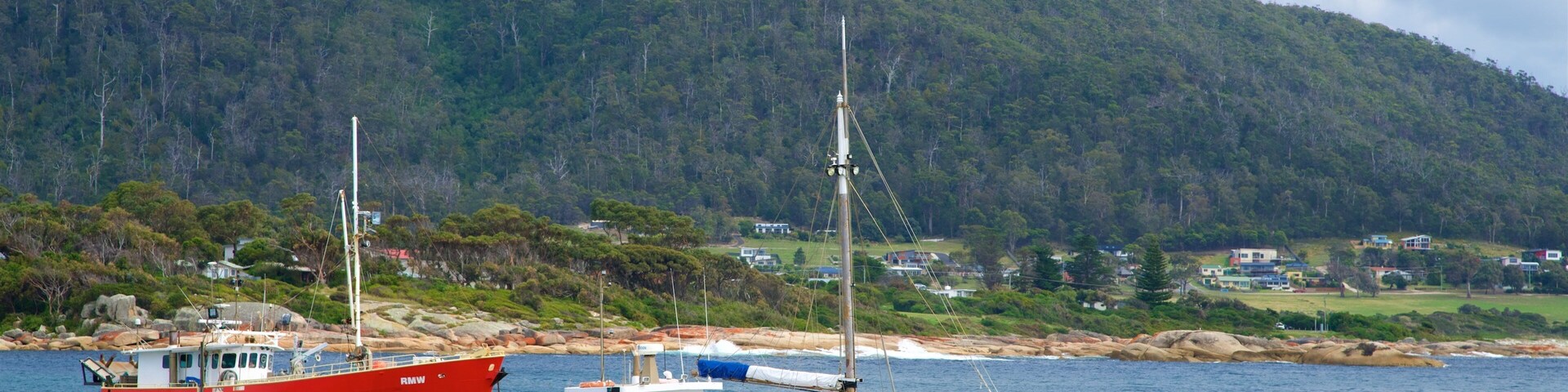Dos barcos en aguas tranquilas, uno rojo y otro blanco, con una colina boscosa al fondo.
