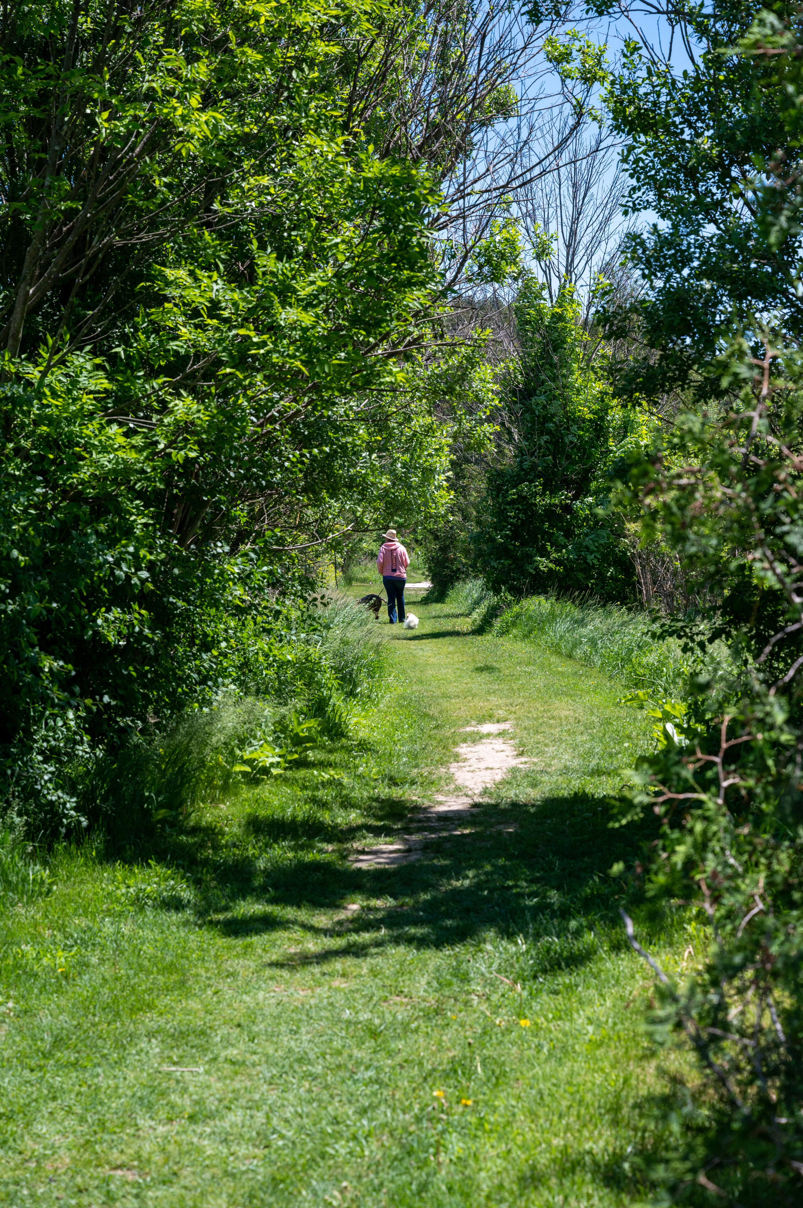 Beautiful Arboretum in Aurora, Canada