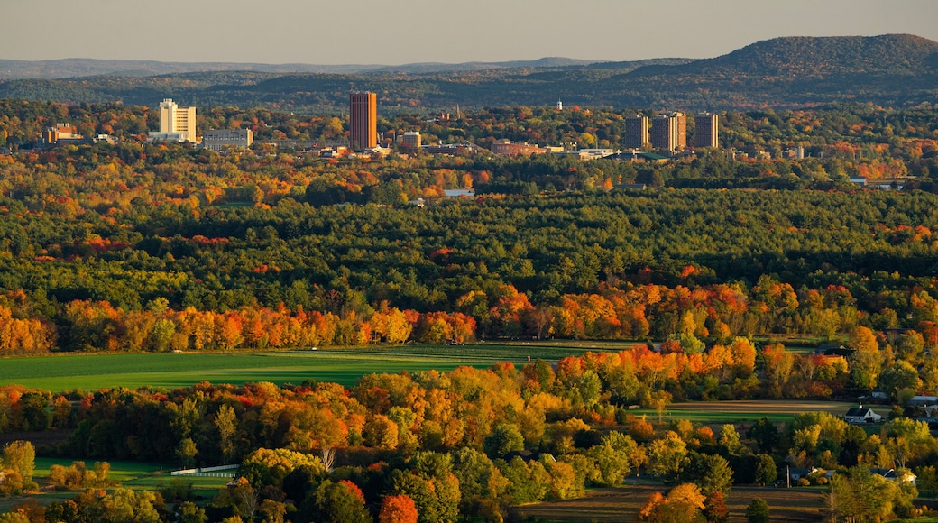 Fall foliage with the Greater Amherst, Massachusetts urban landscape in the distance