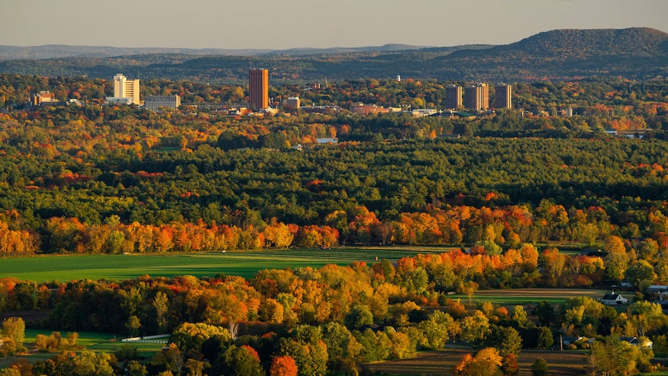 A cityscape with autumn foliage, buildings, and a hilly backdrop.