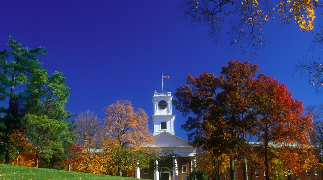 A6F6E7 AJ9295, Amherst, MA, Massachusetts. Image shot 2001. Exact date unknown.