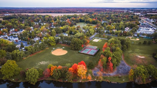 Drone of Autumn in Princeton