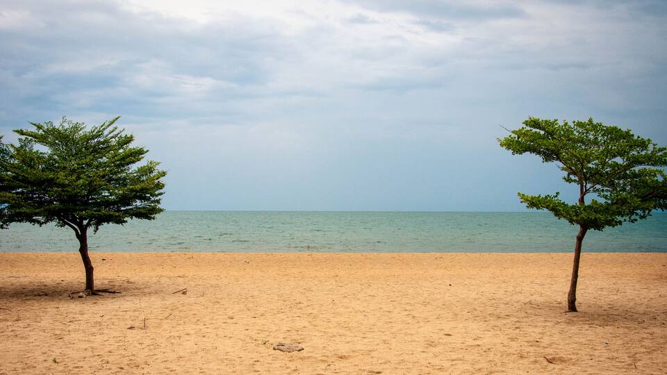 A sandy beach with two trees and a calm sea under a cloudy sky.