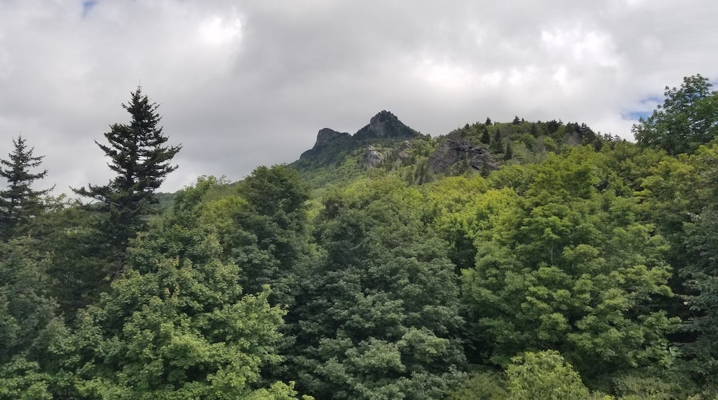 Grandfather and Grandmother mountain