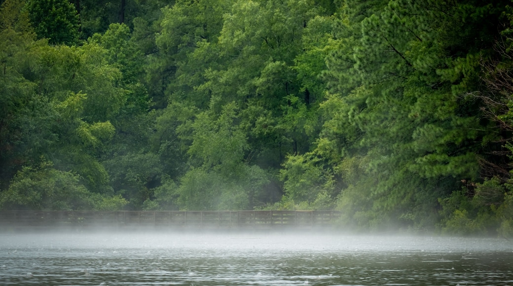 Fog on the pond between summer storms at Crowder County Park in Apex, North Carolina.