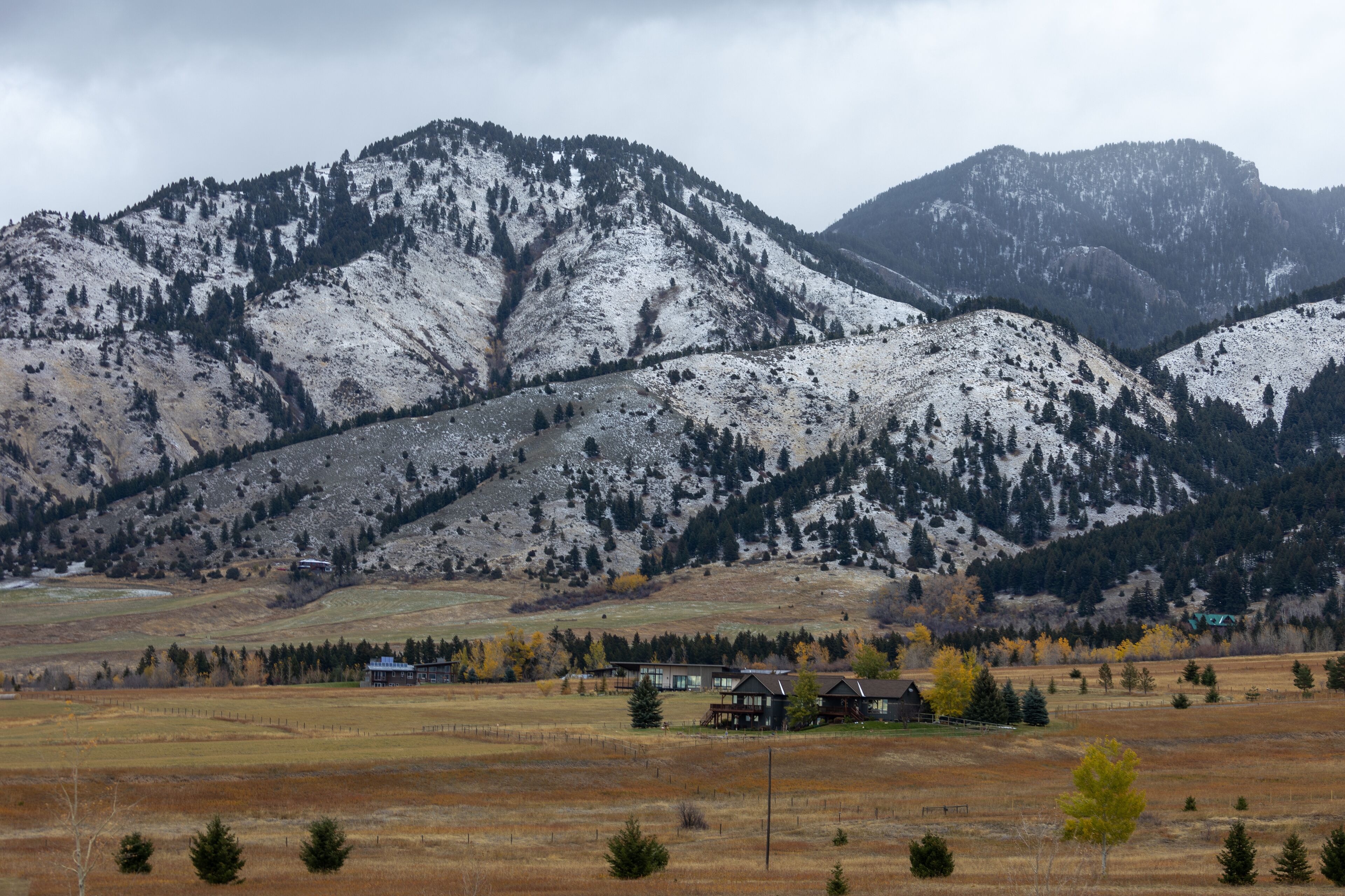 Winter Landscape in Bozeman Montana, Fall Colors and Snow
