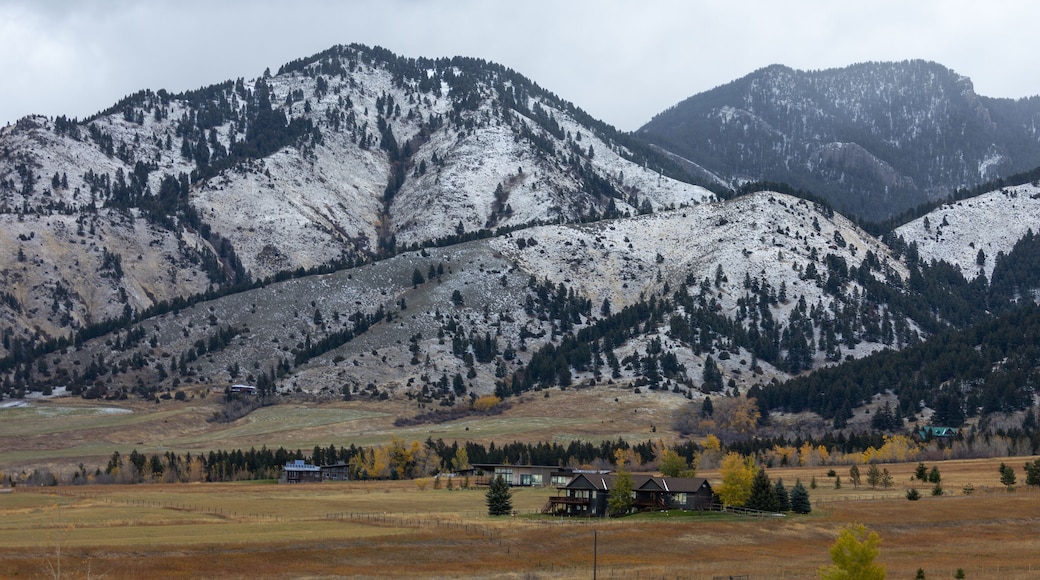 Winter Landscape in Bozeman Montana, Fall Colors and Snow