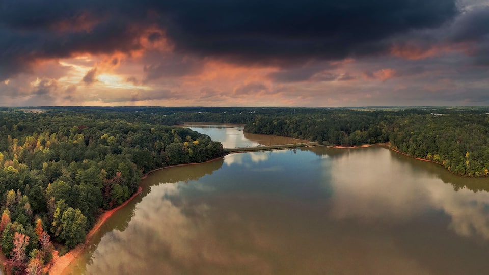 A river winding through a dense forest with a cloudy sky above.