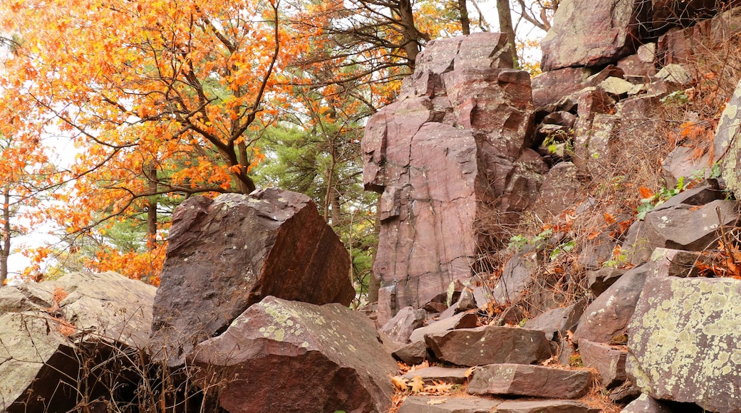 Wisconsin ice age nature background. Autumn view with ice age hiking trail with colorful trees and stone stairs between rocks. Devils Lake State Park, Baraboo area, Wisconsin, USA.