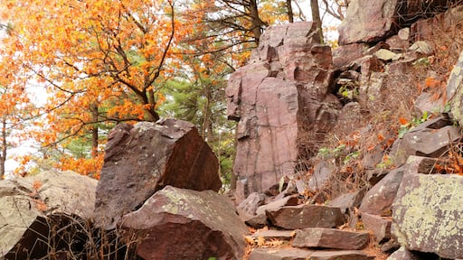 Baraboo