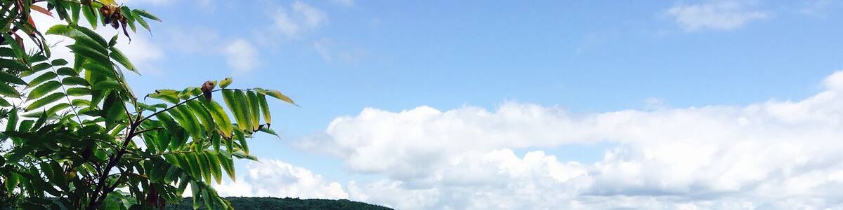 Devil's lake state park in Wisconsin!
The "The Ice Age Scenic trail loop", a short part of the National scenic trail.
If you're around the area,make sure to put this park and specifically this trail on your check list!
It is a beautiful hike,with a very special view of a range of deep to light colors of blue lake surrounding by 500 foot high quartzite bluffs,which was created by glacier. This trail is 14 mile trek with many offered amenities; such as fishing, boat ramp, swimming, and bird watching, there is plenty to keep everyone having fun. Best of all-this park is pet friendly!
#hiking #travel #crosscountry #devilslake #wisconsin #statepark #backpacking