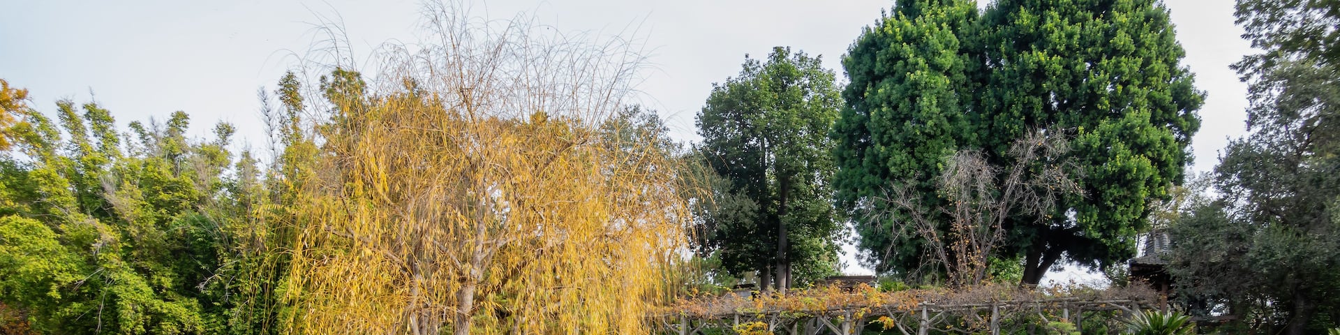 A traditional Japanese garden with a wooden bridge, a pond, and various trees.