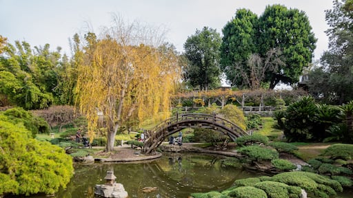 Alhambra