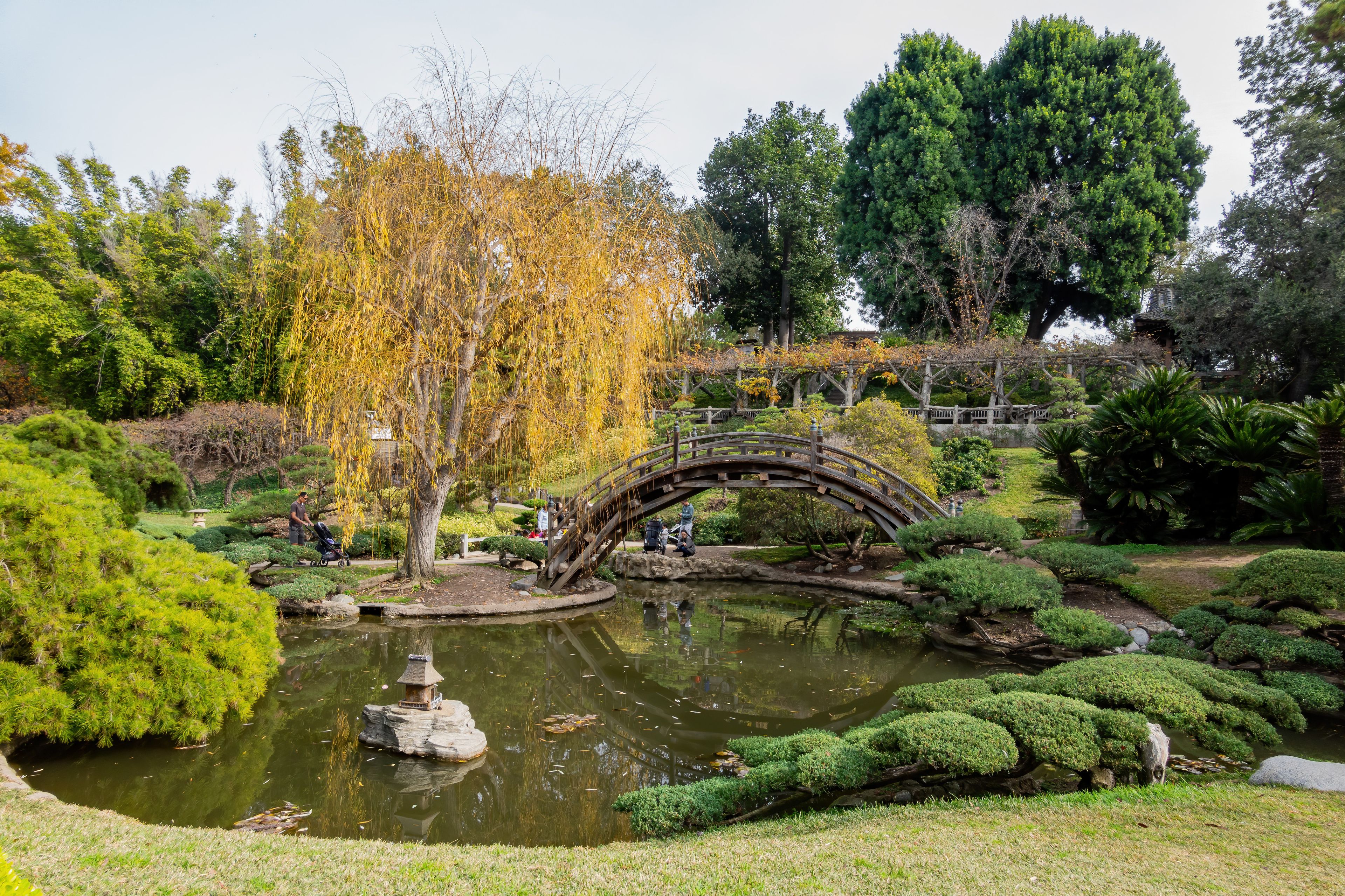 A traditional Japanese garden with a wooden bridge, a pond, and various trees.