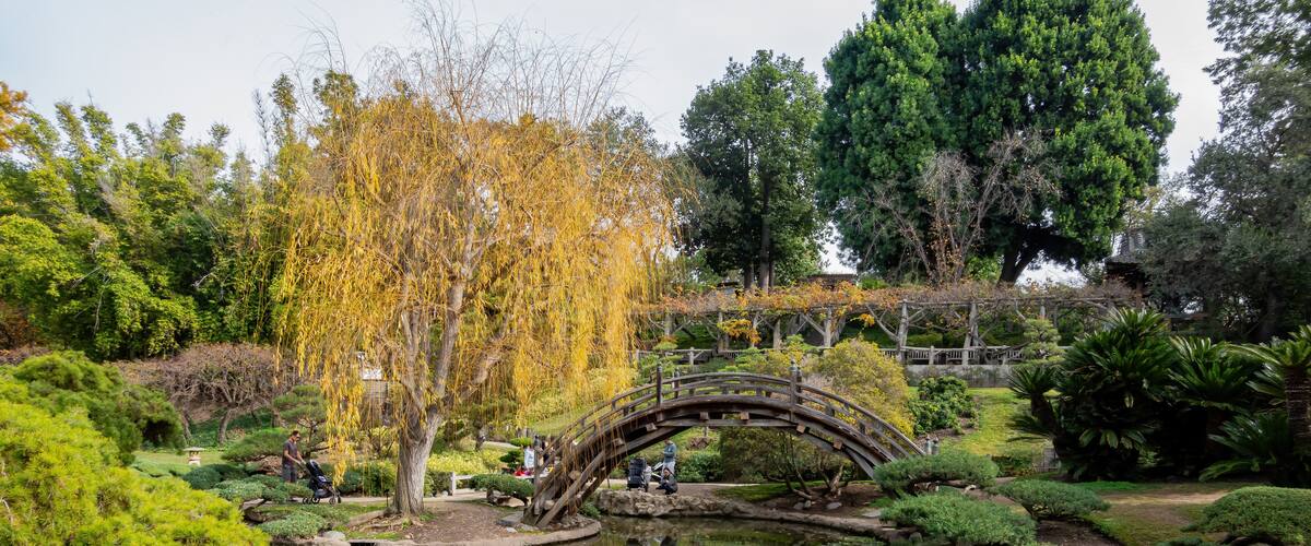 A traditional Japanese garden with a wooden bridge, a pond, and various trees.