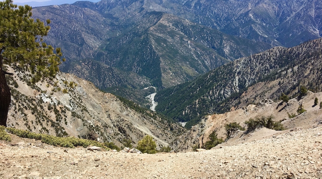 Amazing view from the portion of the PCT located in Los Angeles National Forest .