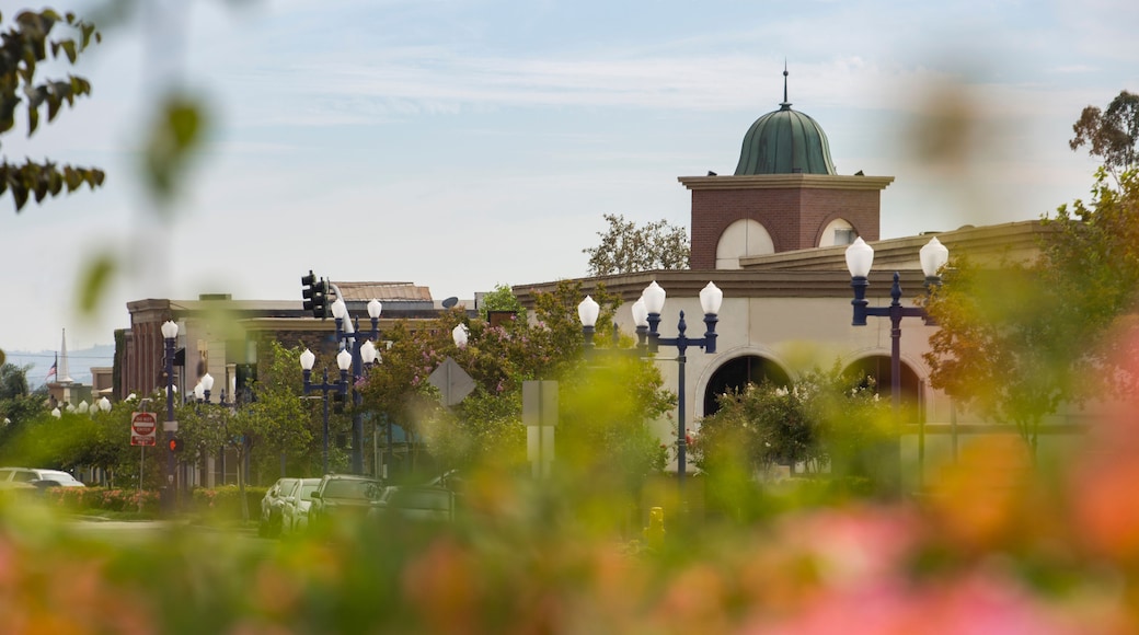 Flower view of the historic downtown area of Azusa, California, USA.