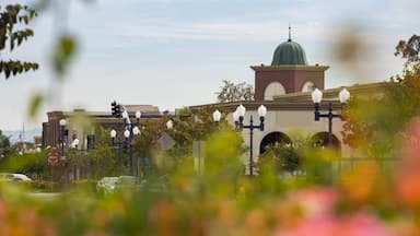 Flower view of the historic downtown area of Azusa, California, USA.