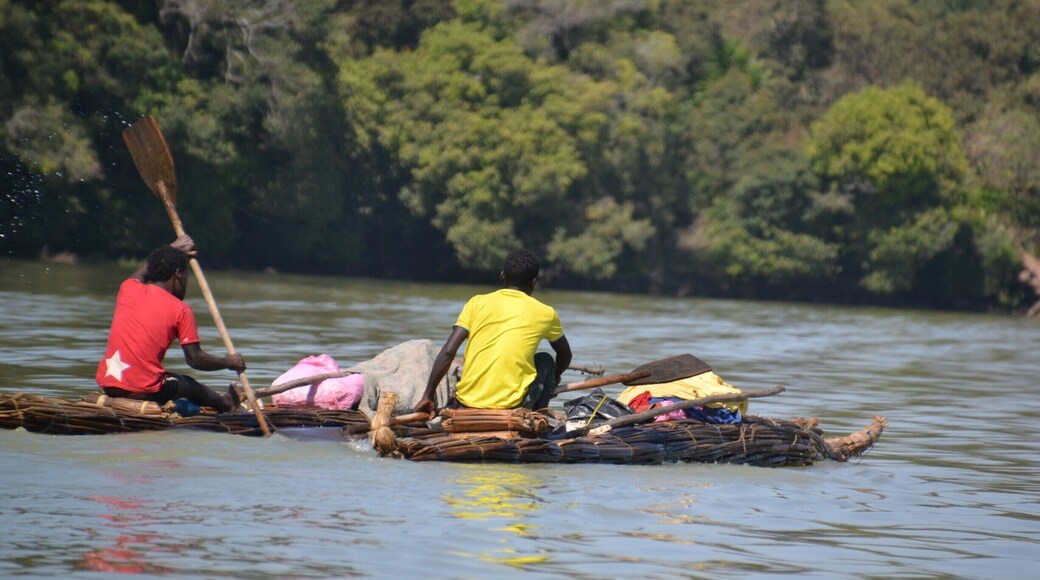 Locals on their wooden boats/canoes on Lake Tana in Bahir Dar, Ethiopia.
#ethiopia #africa #people