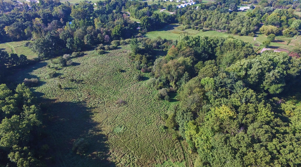 Aerial View of Serene Lakeside Community and Autumn Foliage