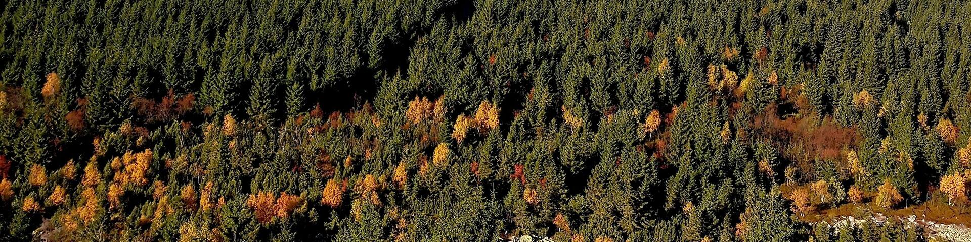 View from the top of mountain Ještěd #LifeAtExpedia