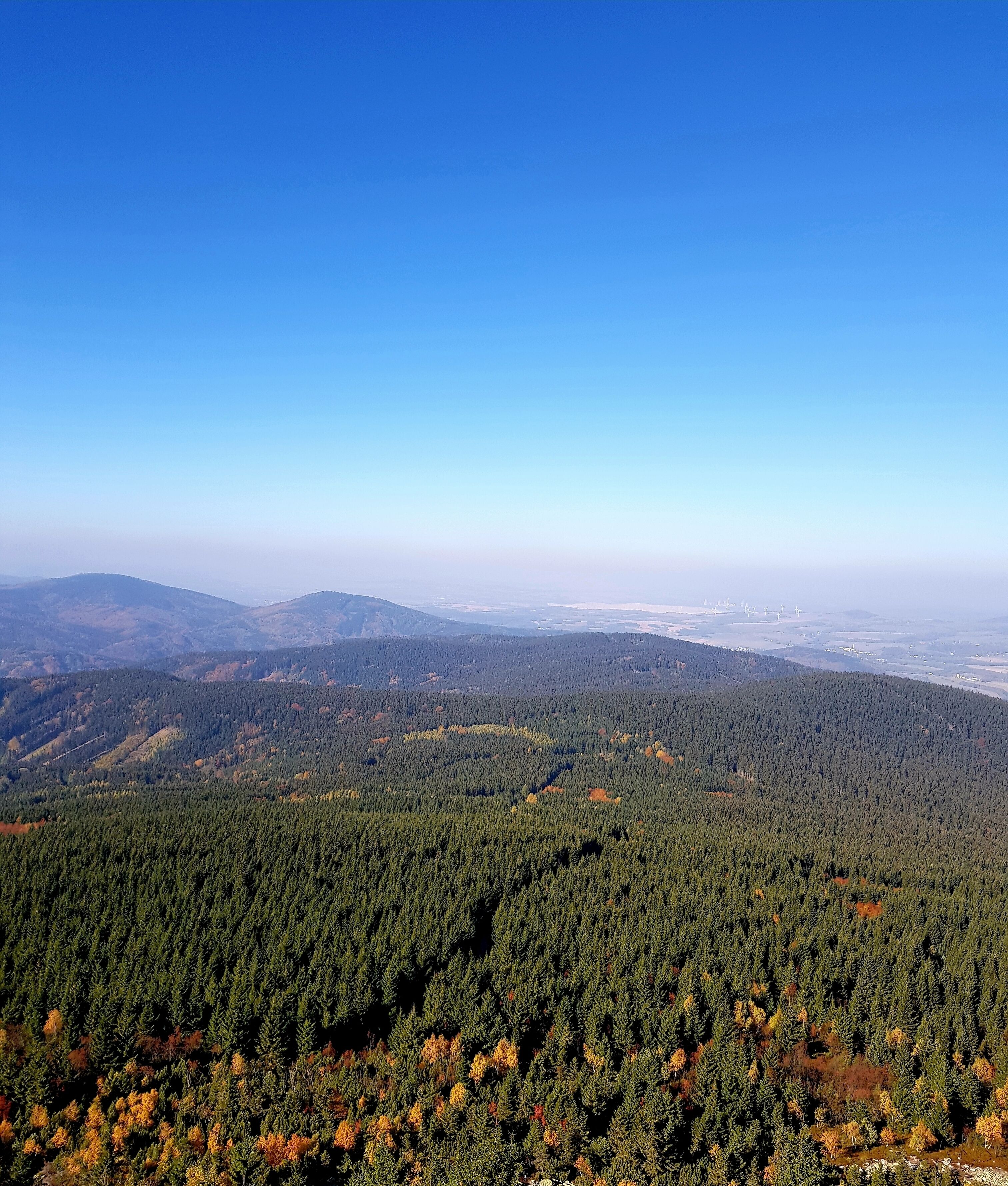 A mountainous landscape with dense forests and distant wind turbines.