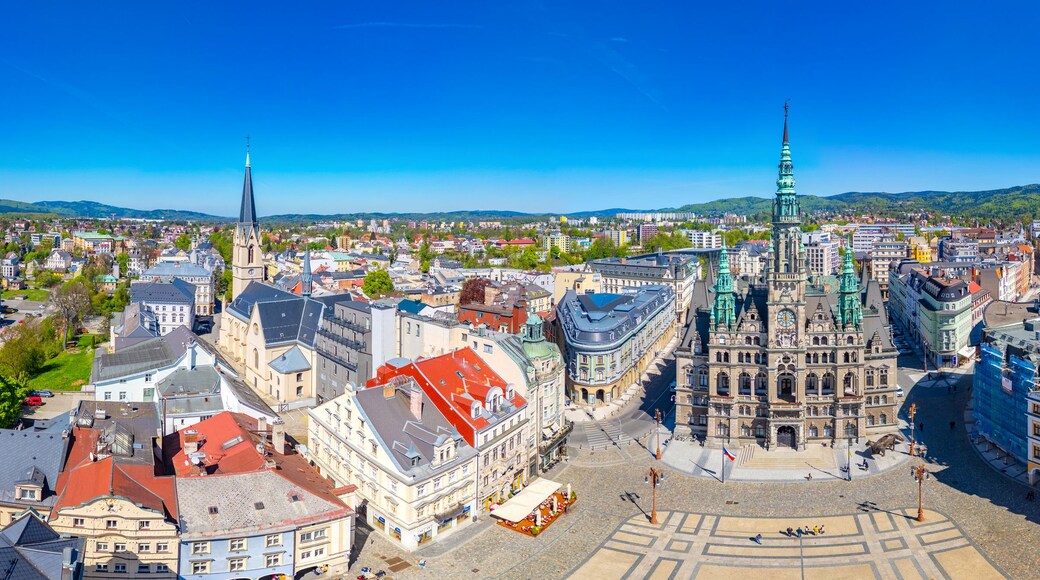 Een panoramisch uitzicht op een historisch stadscentrum met opvallende architectuur, waaronder een hoge kerktoren en een statig gebouw met een klokkentoren.