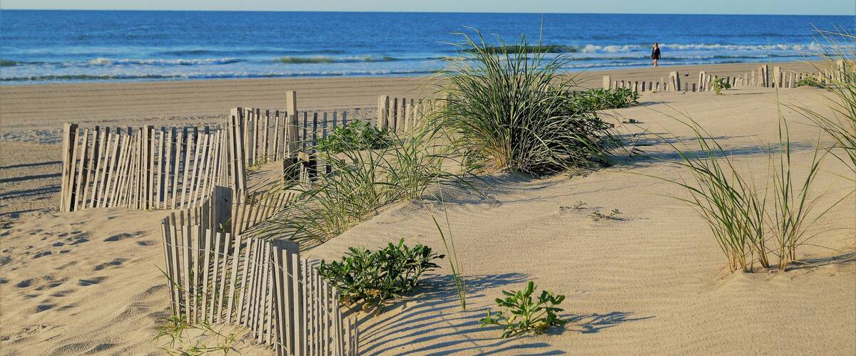 Ein sandiger Strand mit Holzzaun und etwas Vegetation.