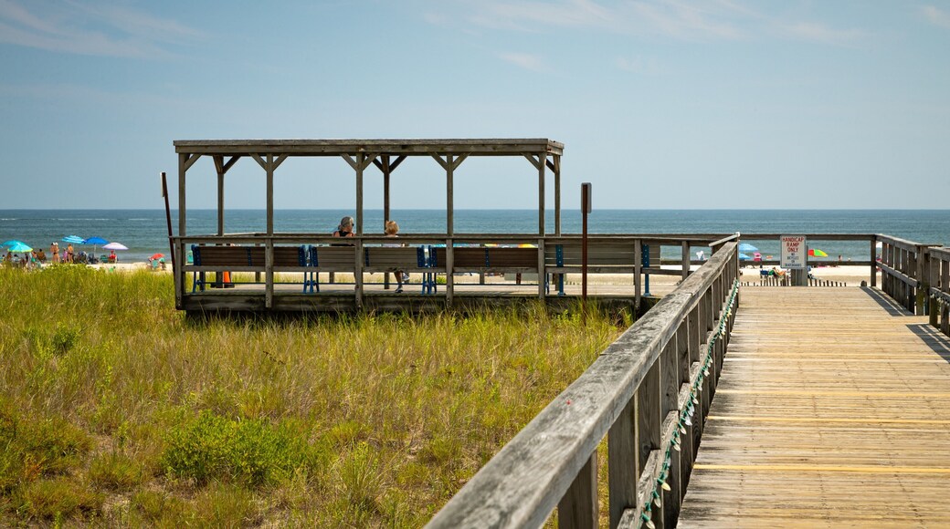 Avalon featuring general coastal views