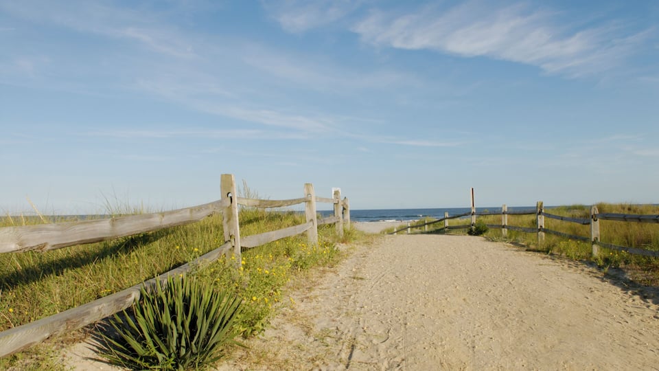 A sandy beach path with wooden fences and green vegetation.