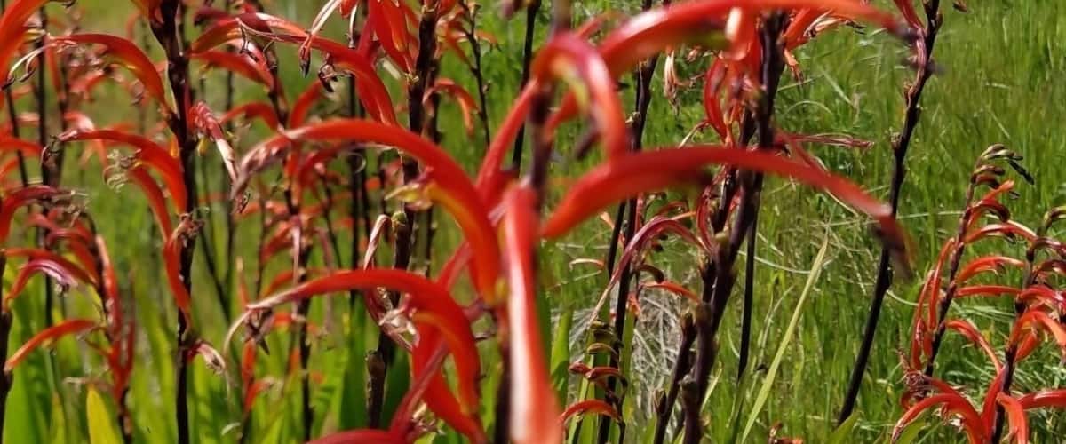 Biking, chilaxing and view of the bay. Gorgeous!