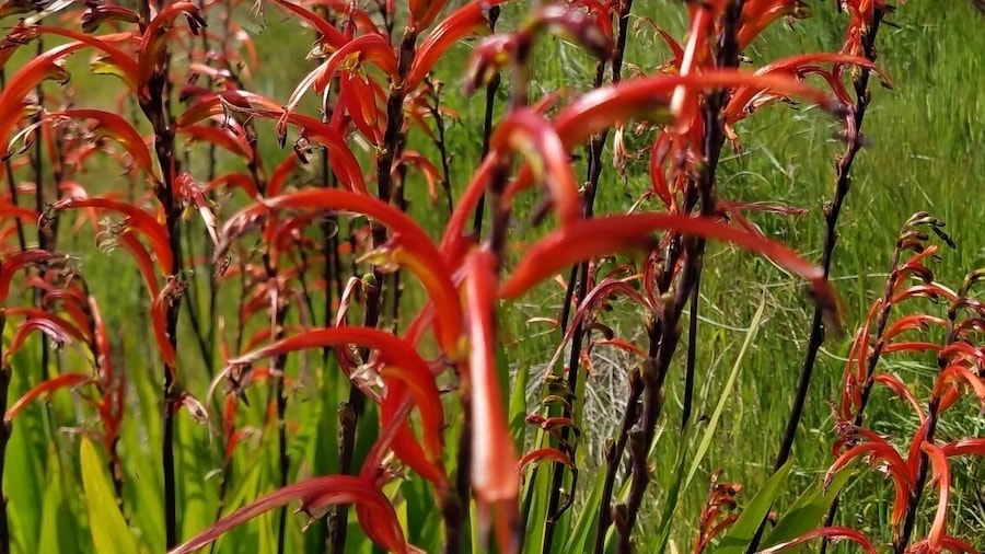 Biking, chilaxing and view of the bay. Gorgeous!