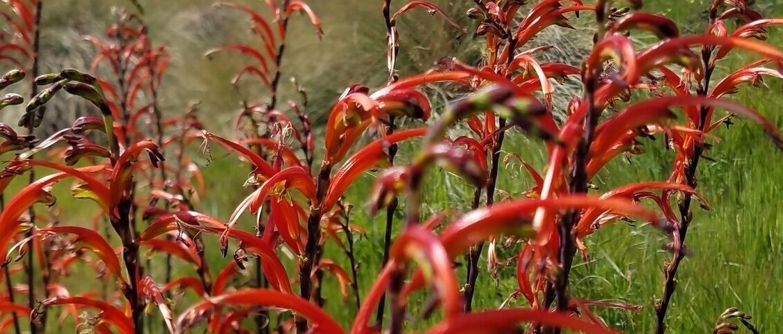 Biking, chilaxing and view of the bay. Gorgeous!