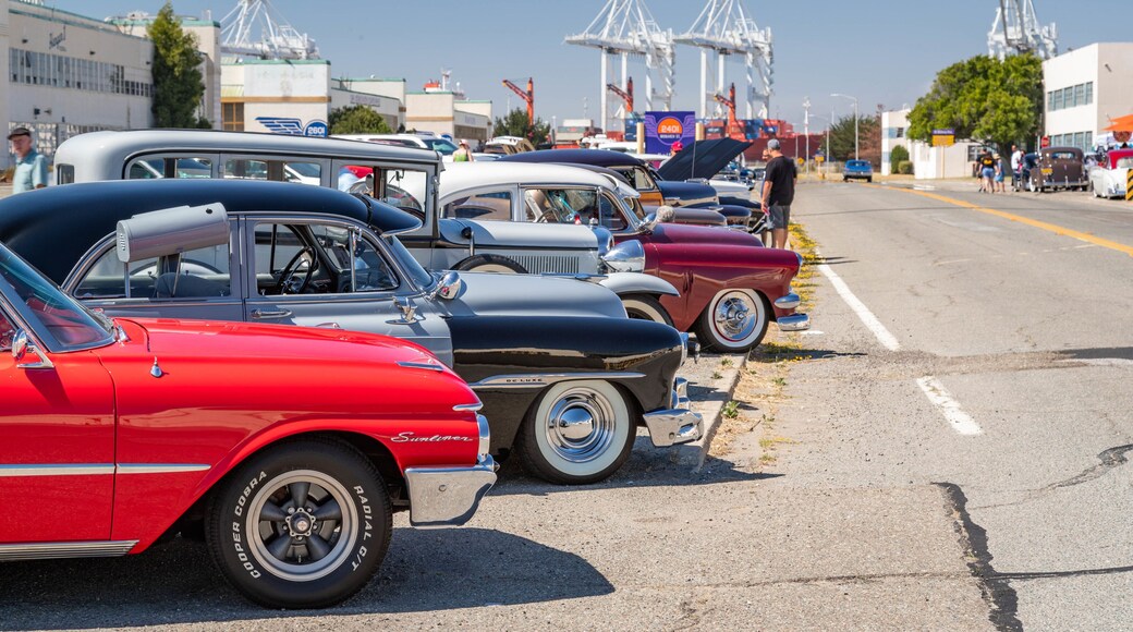 Alameda featuring heritage elements and street scenes